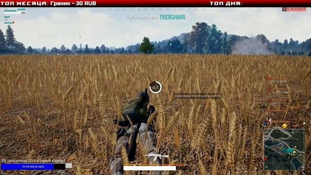 PUBG - Боевые хомяки!