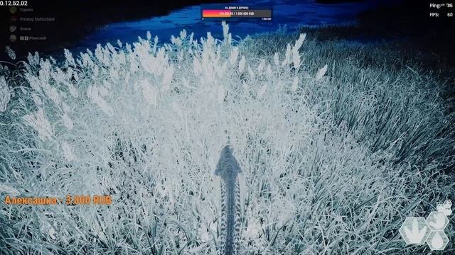 | EVRIMA |The Isle. Выживание в мире динозавров онлайн. Стрим.