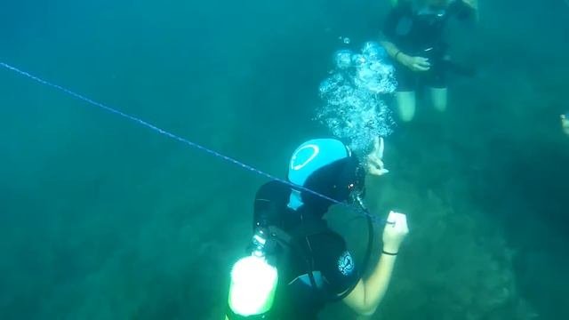 Всероссийское общество спасания на водах 5 лет в Алуште