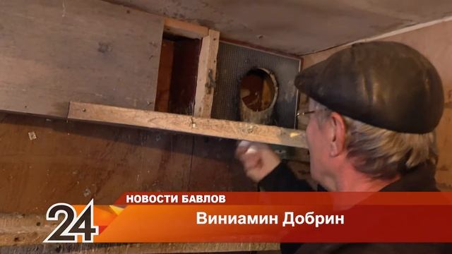 Разводит голубей - 12 октября 2021 года