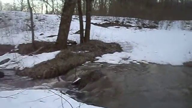 Весеннее пробуждение