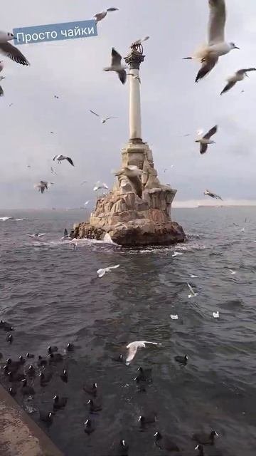 Город герой Севастополь. чайки кружат возле памятника затонувшим кораблям