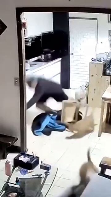 Говорили мне заведи кота. Он успокаивает нервы😁