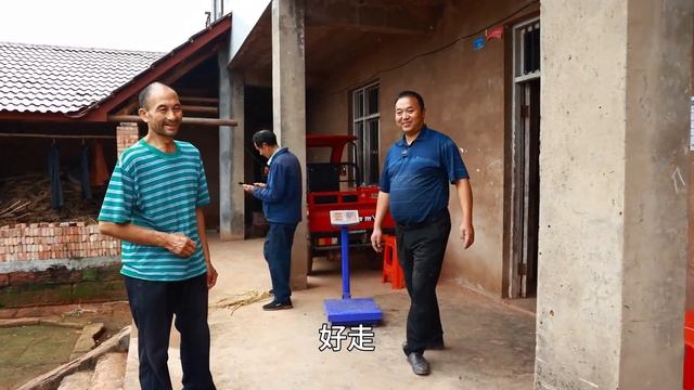 二哥去岩上收了几千斤谷子和十几只放养的鸭子,直呼这次赚大发了