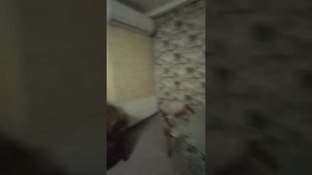 Сдам 2к в ЖК Озёрные Зори, Шумксого, Березняки