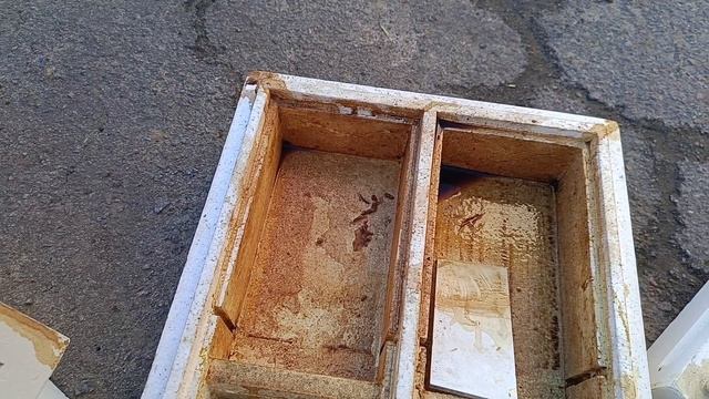 Черная плесень в кормушках ППС, что делать?
