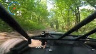 Скоростной заезд по лесу