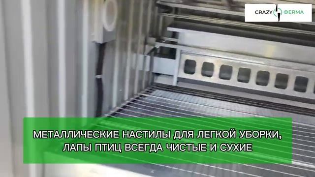 Любимая эко ферма! Установили Курятник "Неделя без забот"  для кур-несушек на 100 голов.