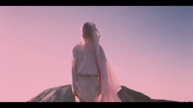Dolphin Love - areyougoingtobehere (Music Video)
