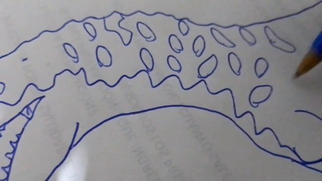 Masiakasaurus Dibujando