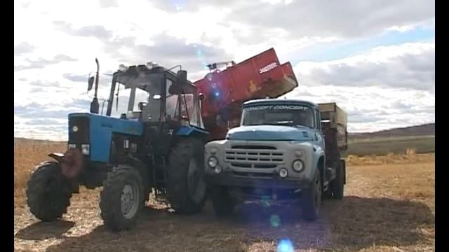 ТЕМА_НЕДЕЛИ_ПОСЕВНАЯ