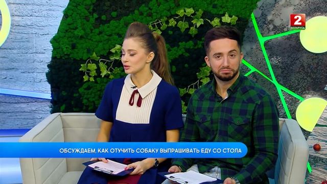 Ульяна Валуйко - кинолог! Как отучить собаку выпрашивать еду со стола?