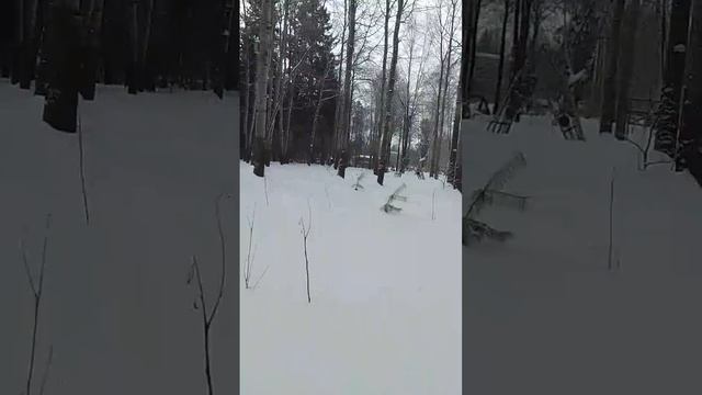 VID-20250308-WA0070