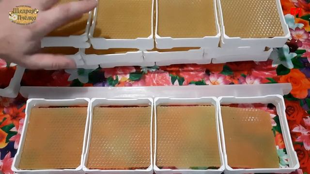 пчеловодство, новинка, рамки для сотового меда, есть недостатки