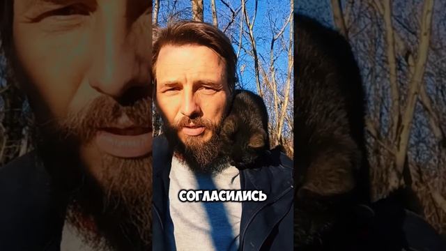 Когда жизнь повернулась жопой?