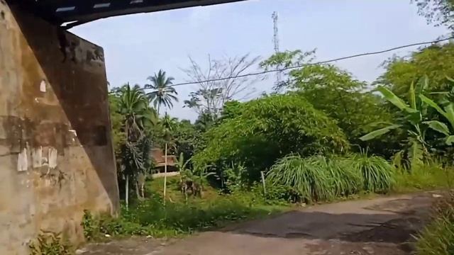pesona alam sepanjang jalan desa kersamanah - lewo Garut