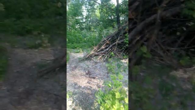 Срібний Кіл і власник Вова!! Організатор попоек, і рейдерського захоплення!!