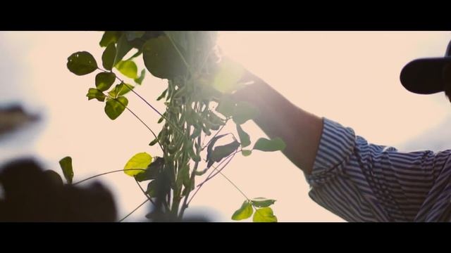 Tratamento de semente de soja é com SEND® - Envie e receba os sinais.