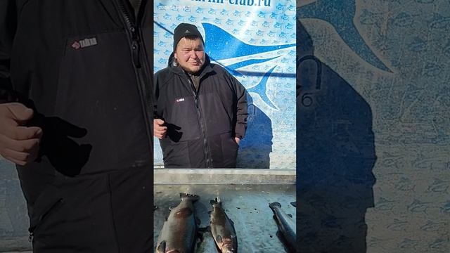Небольшое интервью