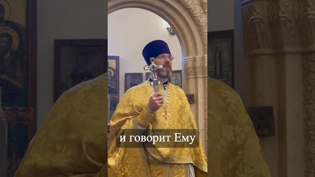 О свободе