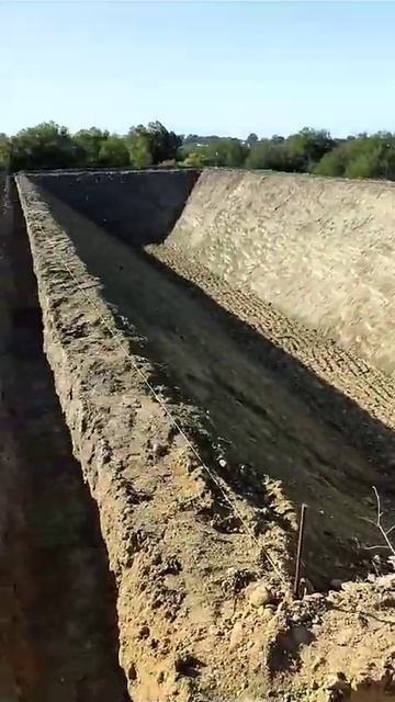 Бассейн для полива облепихи