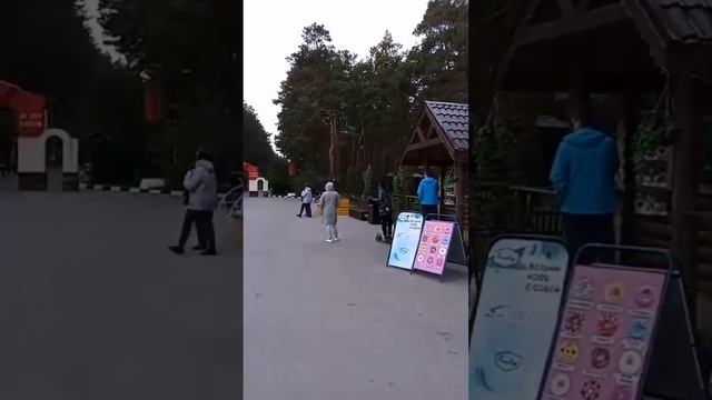Ульяновск.Природа и ПАРК 40 лет ВЛКСМ и северное сияние#город