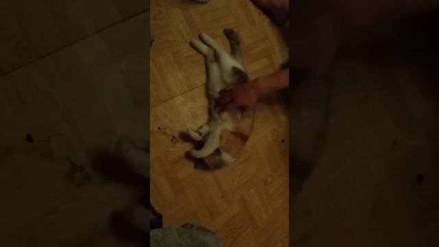 хрен пойми