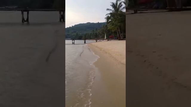 The coconut village island ep.1