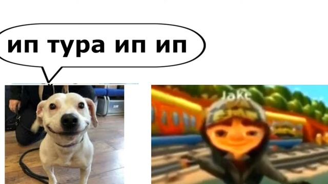 ТУРИ ИП ИП ИП ЭПИК РЕП БАТЛ УЛЫБАЮЩИЙСЯ СОБАКА VS КУМАЛА КУМАЛА!!!