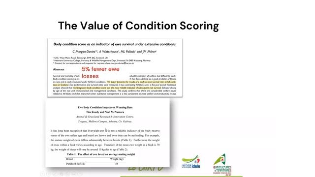 Grazing Principles and Ewe Grazing Management: Sustainable Sheep Systems