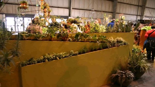 Landscape Ideas For Balcony (see description)