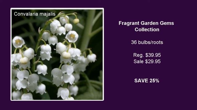 Fragrant Garden Gems Collection