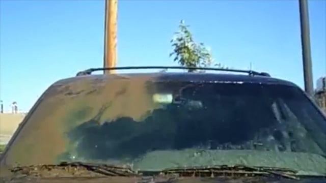 Броня от грязи для автомобиля