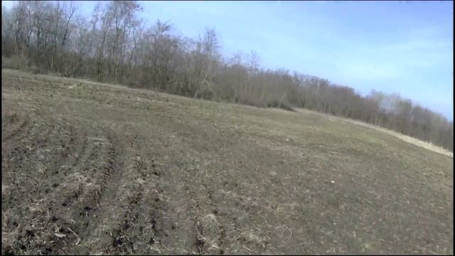 Золото в полях!