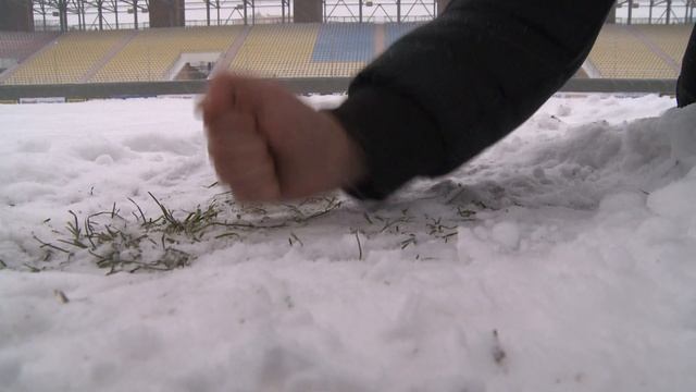 Стан газону на стадіоні «Ювілейний»