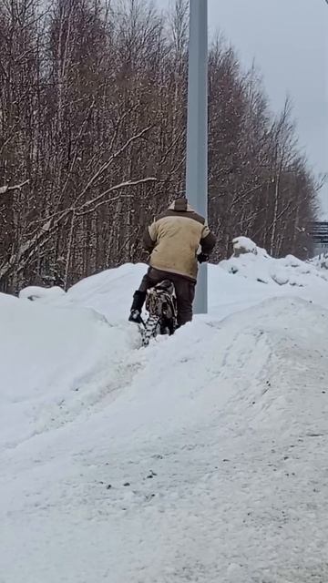 СЕЗОН 2025 РЕШИЛ ОТКРЫТЬ! 💪😂