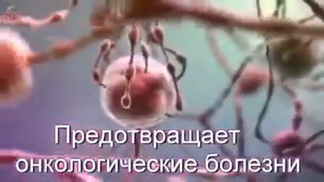 7 марта 2020 г.