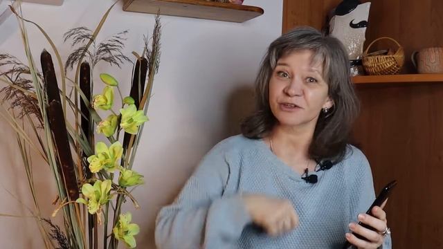 Ежа зборная і бухарнік. Вы дакладна іх ведаеце! Як называецца звычайная трава? | Наш двор – сусвет!