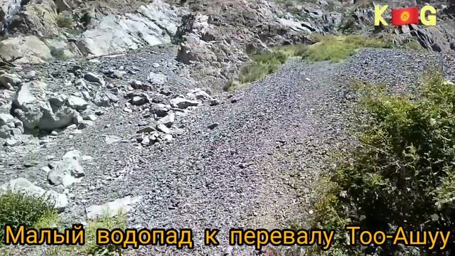 Цитаты