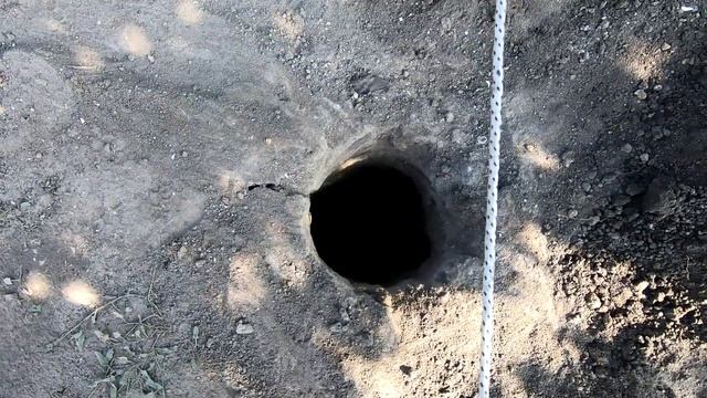#8 Робимо зі шпалери мега теплицю для винограду