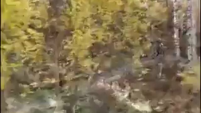 Вова и Миша