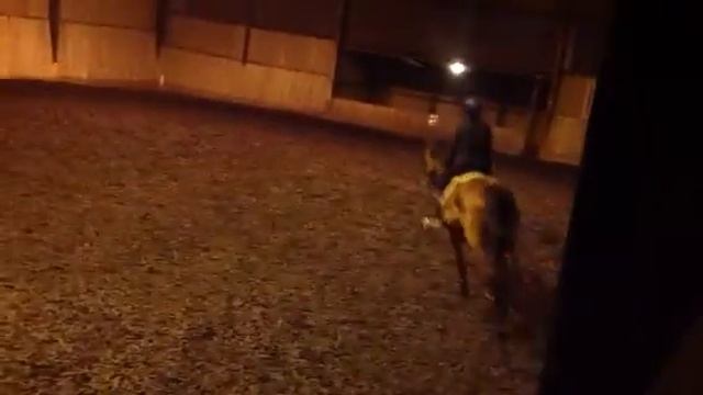 Amy and Gypsy in Tom Graham Lesson
