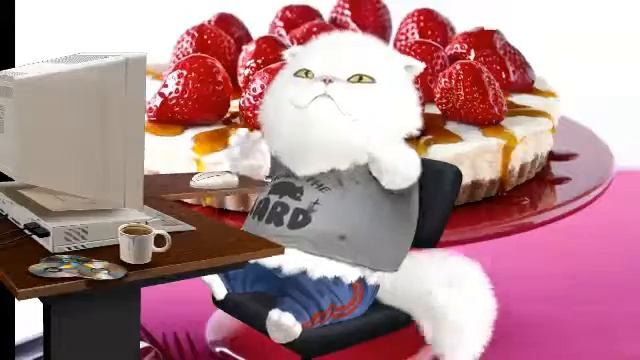 Кот пончик