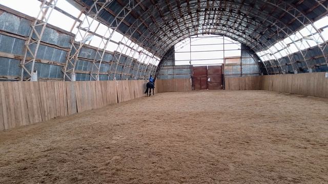 Дольче Вита и Оксана Новикова, рысь. #horse #equestrian #лошади #дольчевита