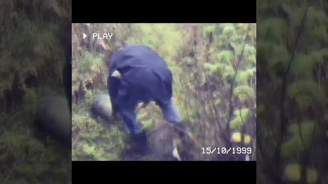 Колодец - Сергей Луганский