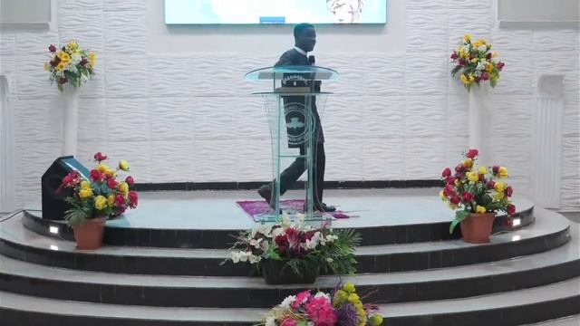 WITNESS PT 35 || REVIVAL TENT || P.DANIEL OLAWANDE