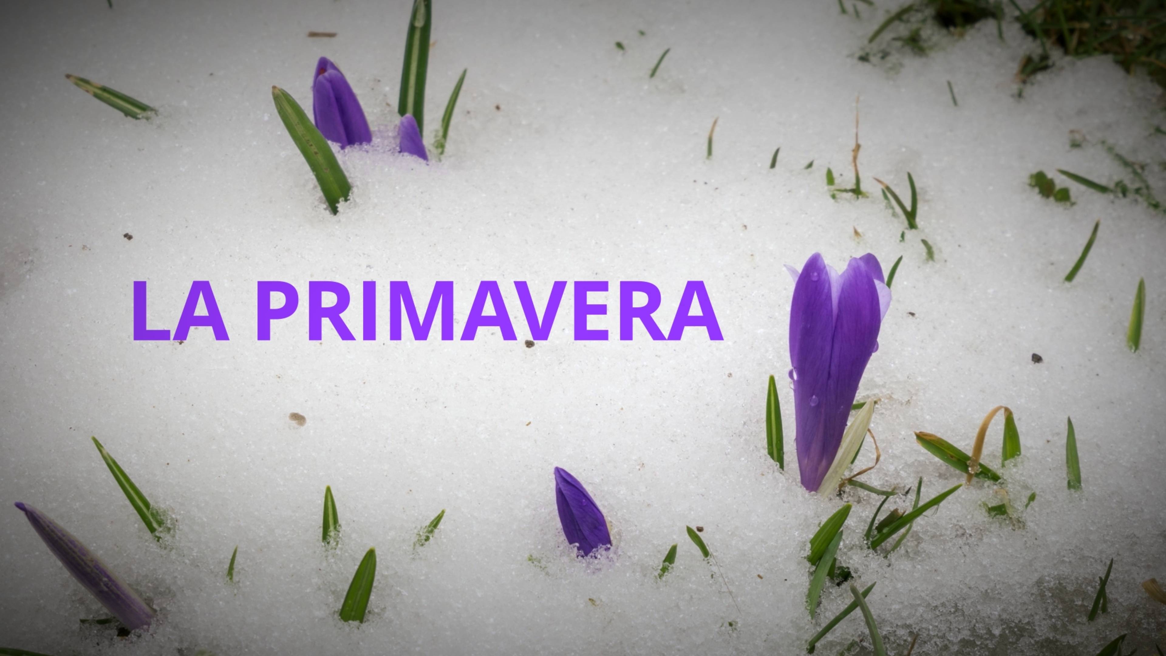 La primavera