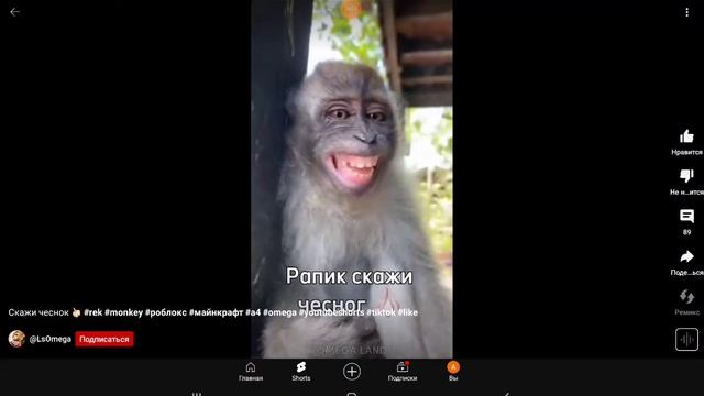 скажи чеснок🤣