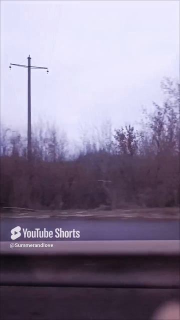 "Не оглядывайся!" из серии ТТТ)