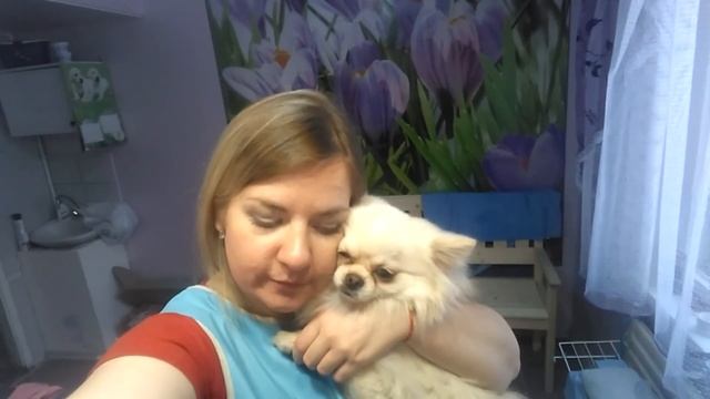 ЧТО Я ЕМ НА РАБОТЕ